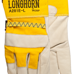 A281E Longhorn